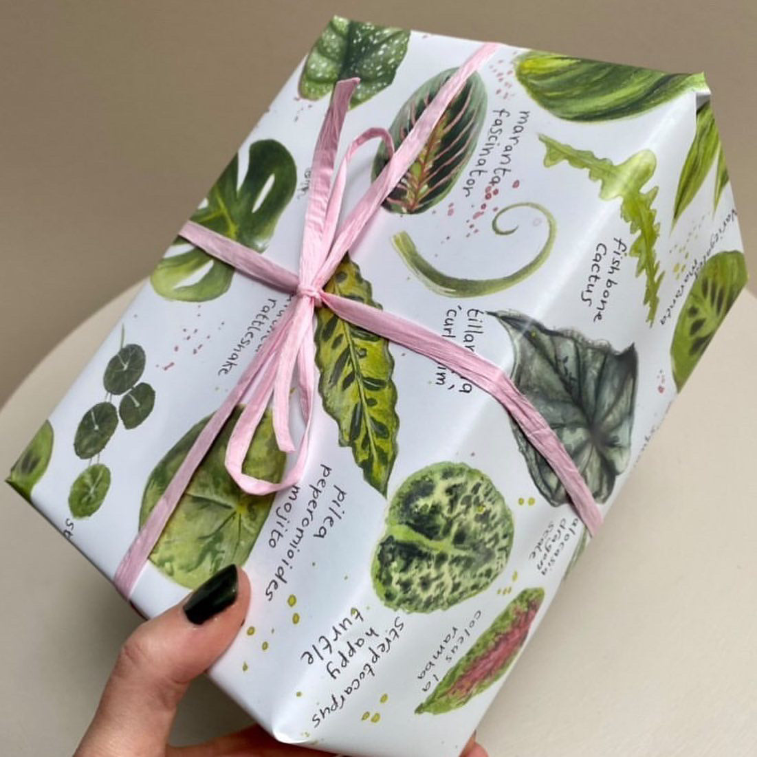 A present wrapped in luxury wrapping paper featuring watercolour illustrations of popular house plants by local artist, Eve Leoni Smith.