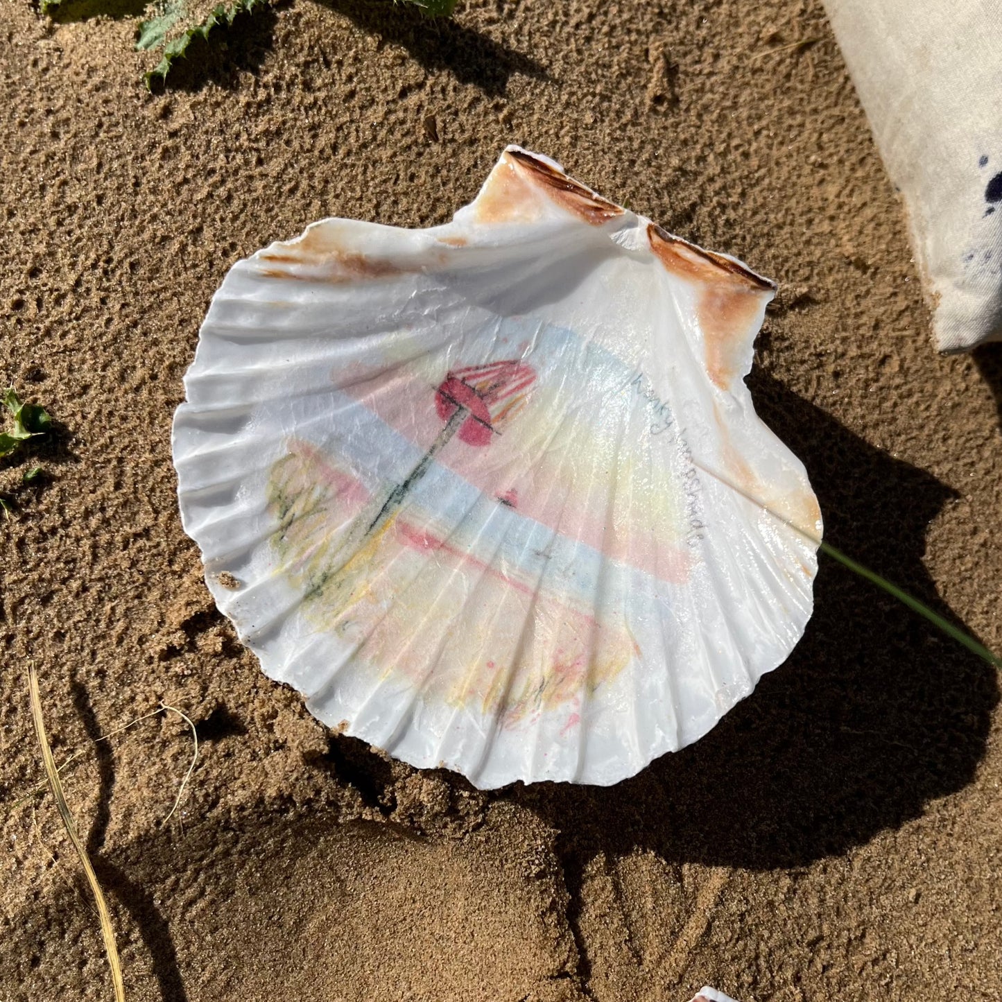 A decoupaged shell on Cleethorpes beach, featuring watercolour artwork of Humberston Fitties Beach by Eve Leoni Smith and Jollypotz.