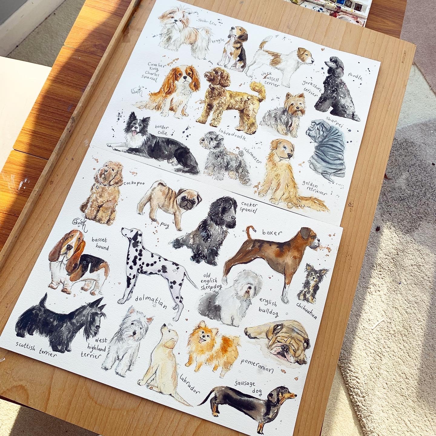 Original watercolour illustrations of different dog breeds by local Cleethorpes artist, Eve Leoni.