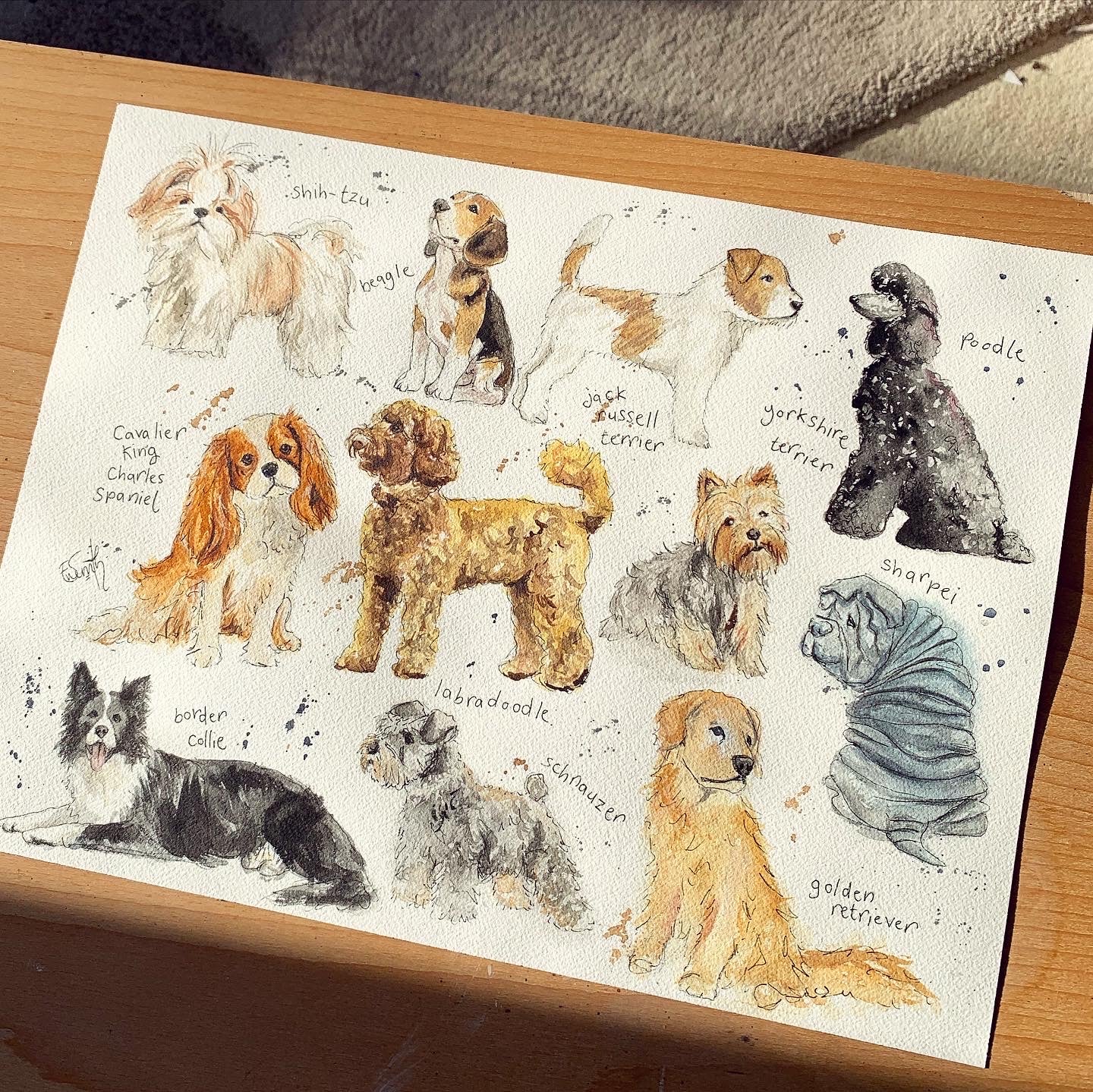 Original watercolour illustrations of different popular dog breeds by Cleethorpes artist, Eve Leoni Smith.