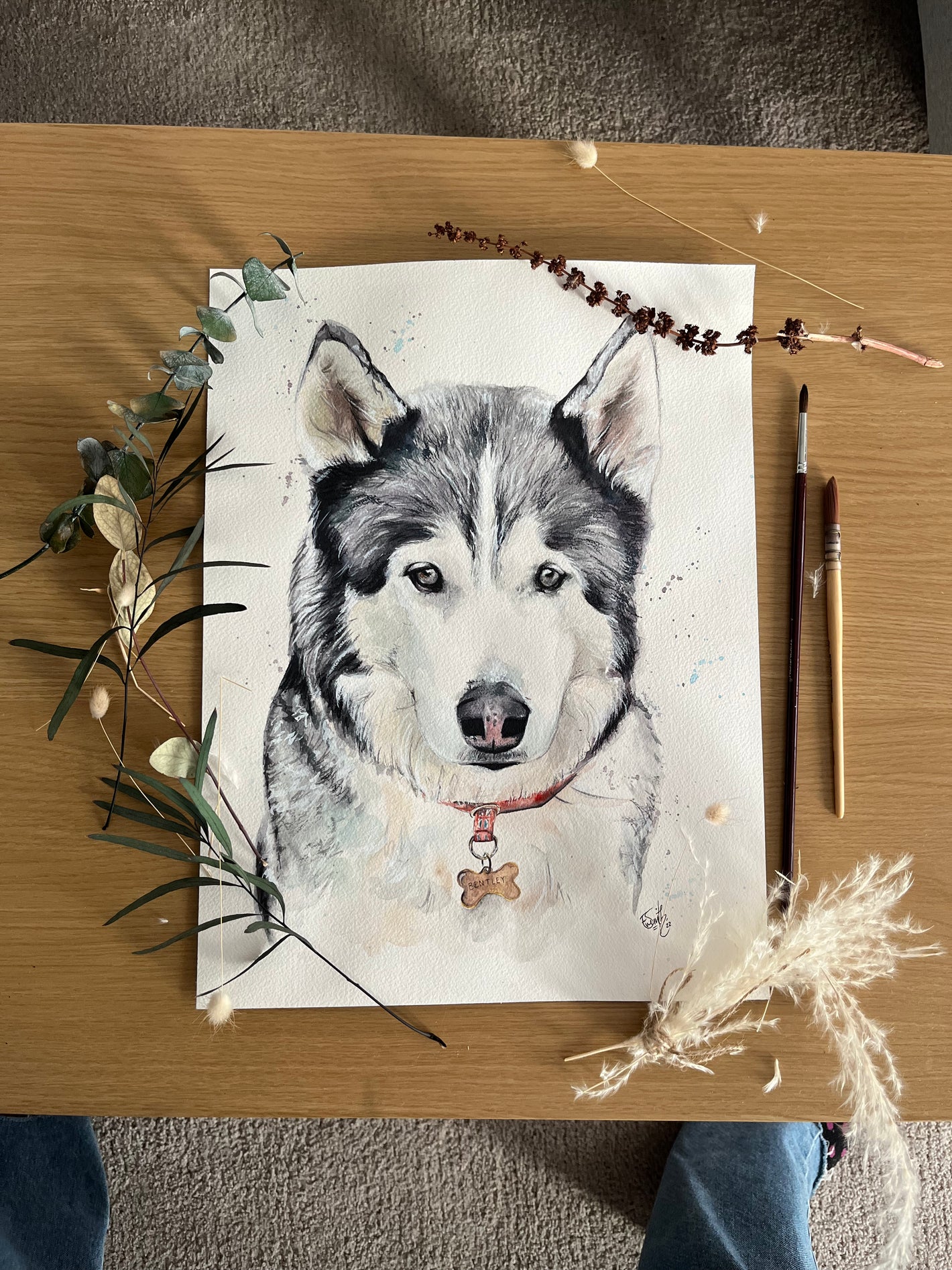 A watercolour pet portrait of a husky gazing straight ahead. Captured by local Grimsby artist, Eve Leoni Smith.