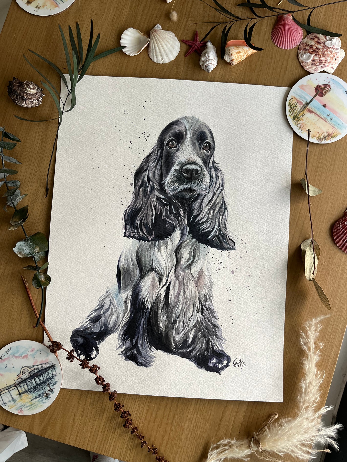 A commissioned watercolour pet portrait of a blue cocker spaniel painted by Cleethorpes artist, Eve Leoni Art.
