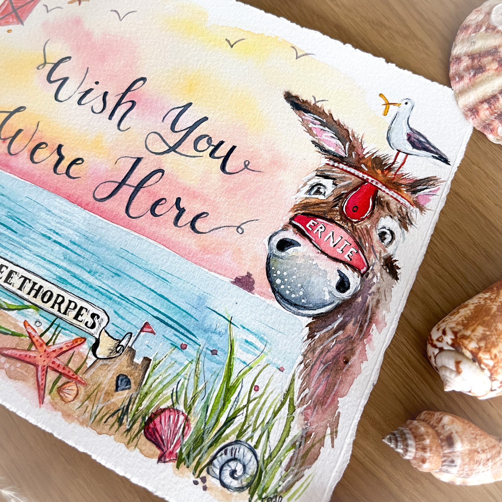 A close up photo of the watercolour design for the Cleethorpes postcards by local artist, Eve Leoni. The design features a donkey named Ernie, with a seagull sat on his head. 